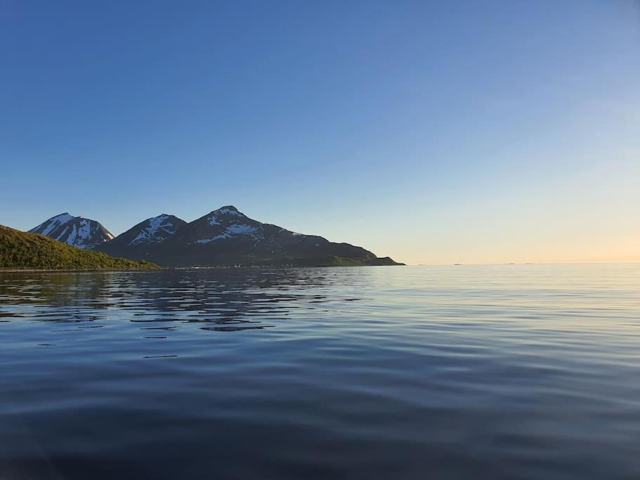 Arctic Tromvik With Jacuzzi Holiday home Tromso